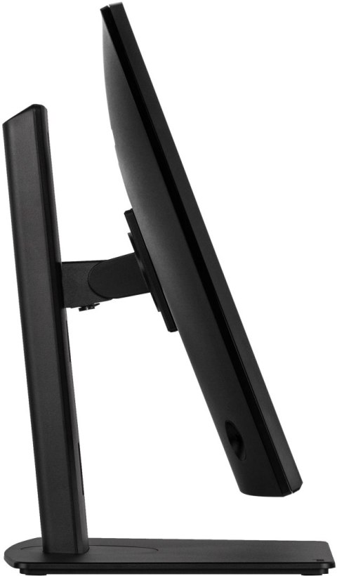 IIYAMA Monitor LED IIYAMA XB3288UHSU-B5 VA HDMI DisplayPort USB