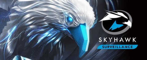 SEAGATE Dysk HDD Seagate SkyHawk ST6000VX009 6TB