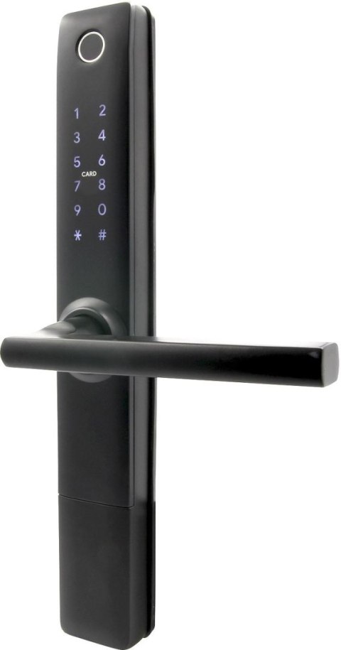 EURA Klamka z kontrolerem dostępu EURA ELH-20H4 Black
