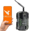 ORLLO Kamera leśna Orllo Huntercam 3 GSM Fotopułapka