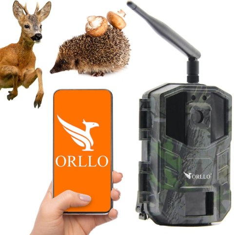 ORLLO Kamera leśna Orllo Huntercam 3 GSM Fotopułapka