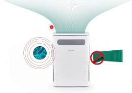 ROTENSO Oczyszczacz powietrza z nawilżaczem Rotenso Ione I31W R10