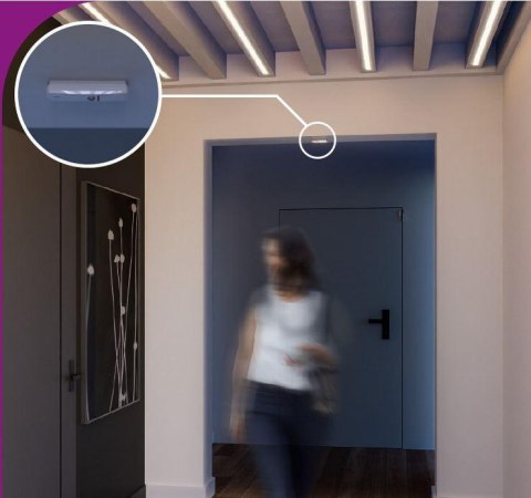 SATEL SATEL BE WAVE Bezprzewodowa czujka kurtynowa - ciemnoszara Curtain Detector DG ACD-220 DG ABAX2