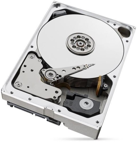 SEAGATE DYSK HDD Seagate SkyHawk AI ST10000VE001 10TB