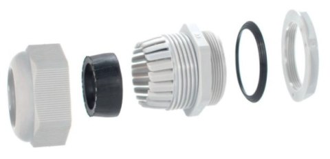 TRYTYT Dławica kablowa z gwintem PG-21 jasnoszary (1szt.)