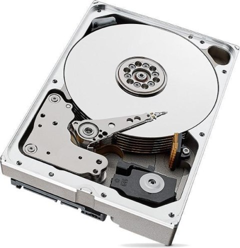 SEAGATE DYSK SEAGATE IronWolf ST12000VN0008 12TB