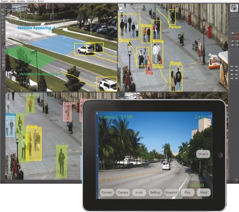 ALNET SYSTEMS ALNET NETSTATION licencja bazowa na 4 kanały wideo