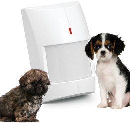 SATEL SATEL CZUJNIK RUCHU PIR+MW GREY