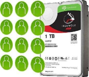 SEAGATE DYSK SEAGATE IronWolf ST1000VN008 1TB