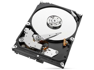 SEAGATE DYSK SEAGATE IronWolf ST1000VN008 1TB